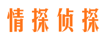 裕华市私家侦探